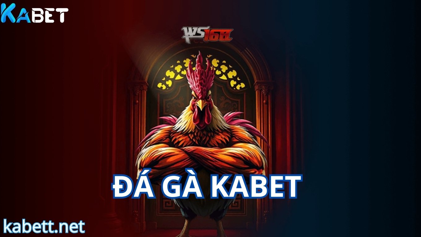 Giới thiệu sảnh đá gà KABET