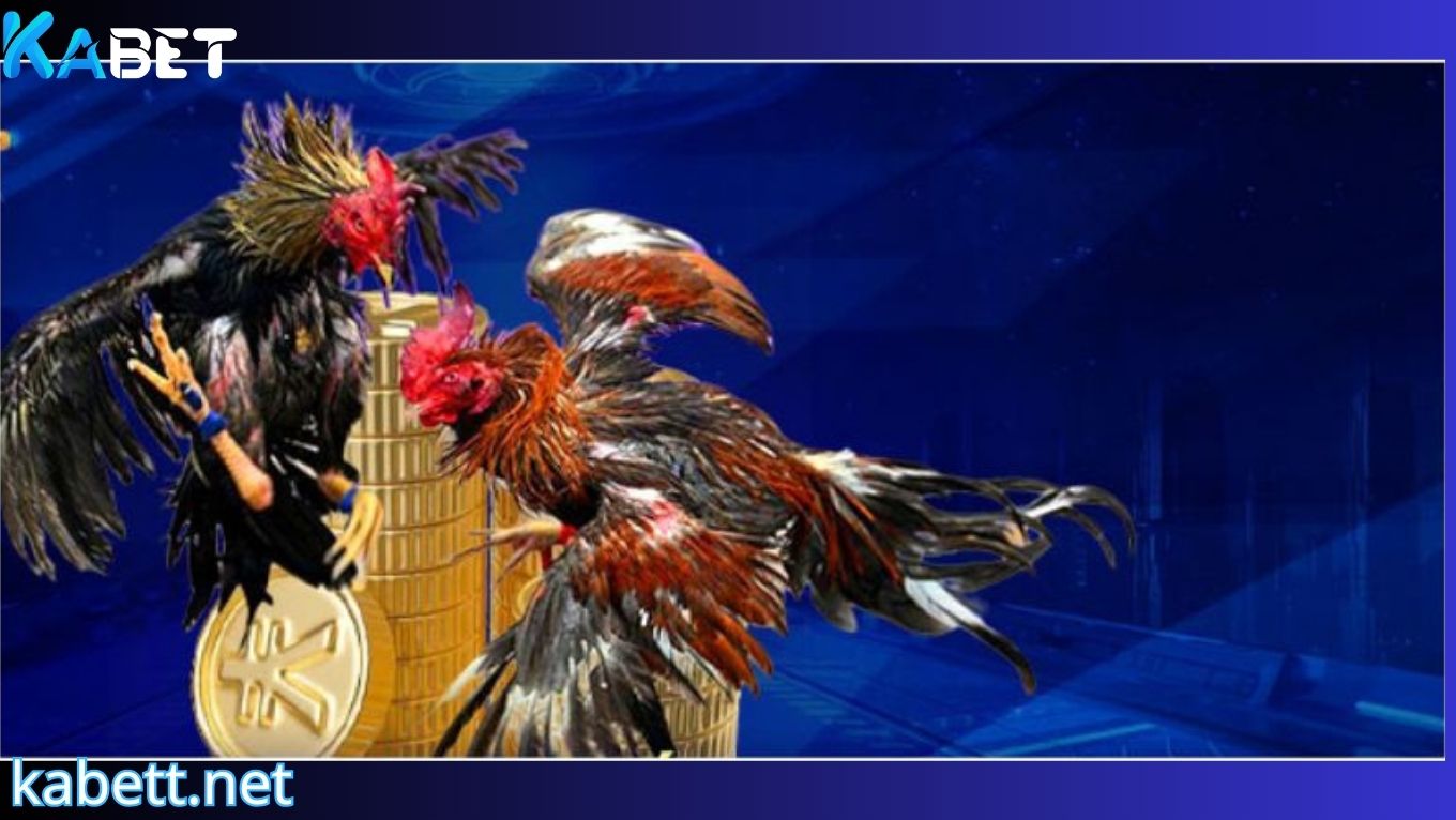 Thể loại đá gà cựa sắt tại KABET